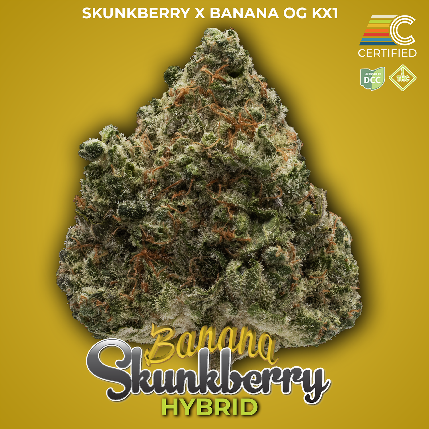 Banana Skunkberry | Sour Aroma Hybrid for Subtle Effects